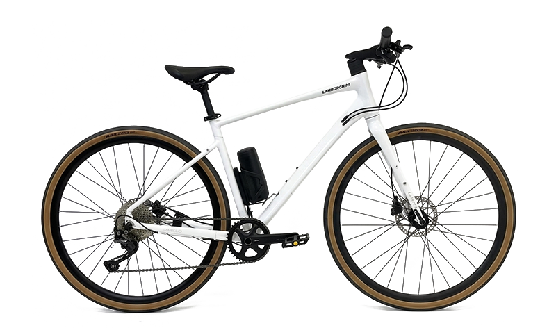 E-Bike Kepler Landerghini - Bicicletta disponibile per noleggio